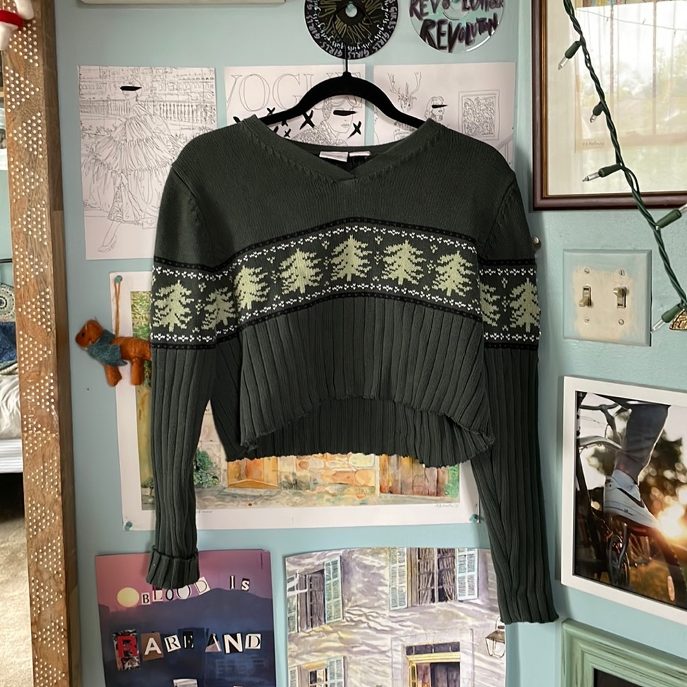 Green long Sleeve Oversized Crop Top Forest Y2K Sweater